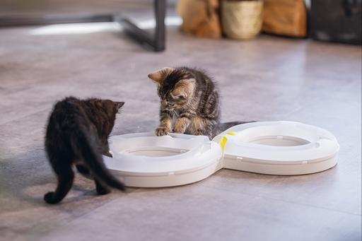 Produktbild Beeztees Bz Kitten Pl Spielschiene Agty (Beschäftigungsspielzeug Katze)