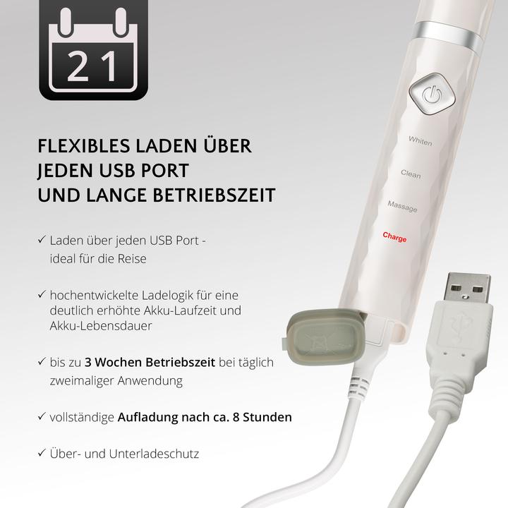 Actual product image Ailoria Flash Travel (Sonic toothbrush)