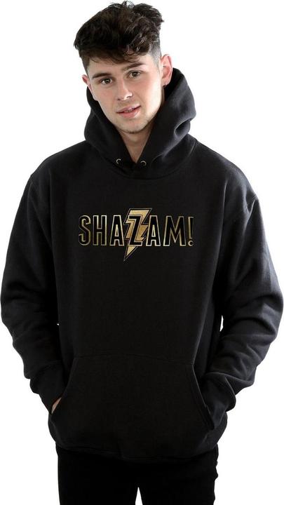 Actual product image Mens Shazam Text Logo Hoodie (M)