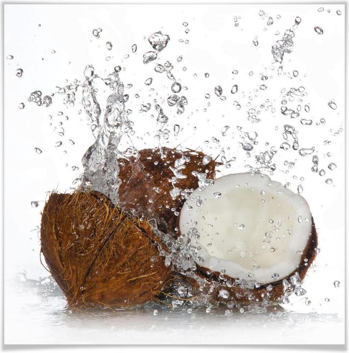 Image du produit Trenddeko Noix de coco des Caraïbes (60 x 60 cm)