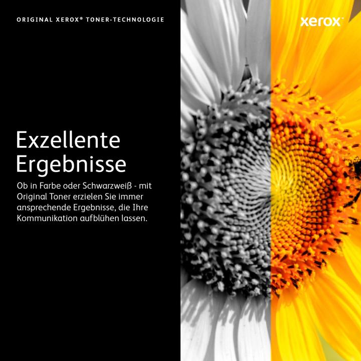 Actual product image Xerox 113r00725 (Y)