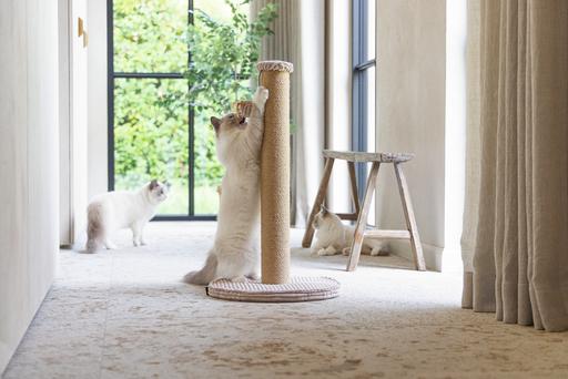 Actual product image Designed by Lotte Scratching post (70 cm, Rose)