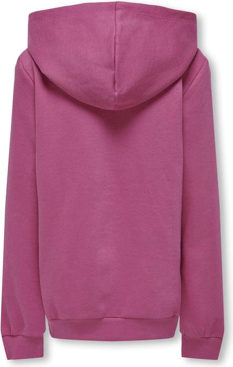 Produktbild Only Einfarbiger Hoodie (104)