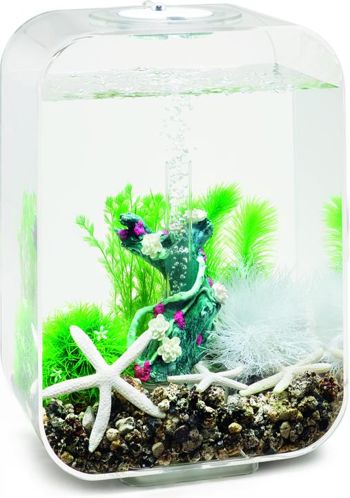 Actual product image Oase biOrb Aquarium 15 Decor Set (Embellishment, other items)