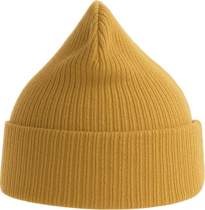 Actual product image Atlantis Adult Nelson ribbed organic cotton cap (One size)