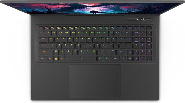 Produktbild Captiva Highend Gaming I81-498 Core i9 RTX 4080 (17.30", Intel Core i9-14900HX, 16 GB, 1000 GB, DE)