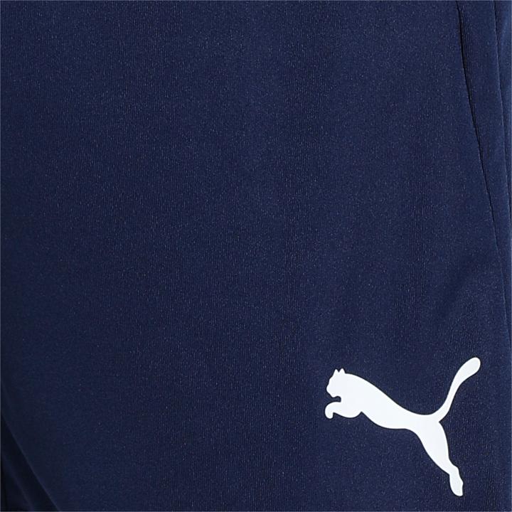 Actual product image Puma teamLIGA Training Shorts (XS)