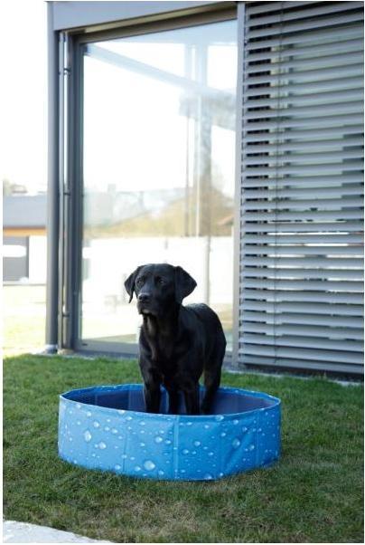 Image du produit Kerbl Piscine pour chiens Bubble, Pataugeoire pour chiens, Robuste anti-rayures Pliable, 2 Gr. (Piscine pour chiens)