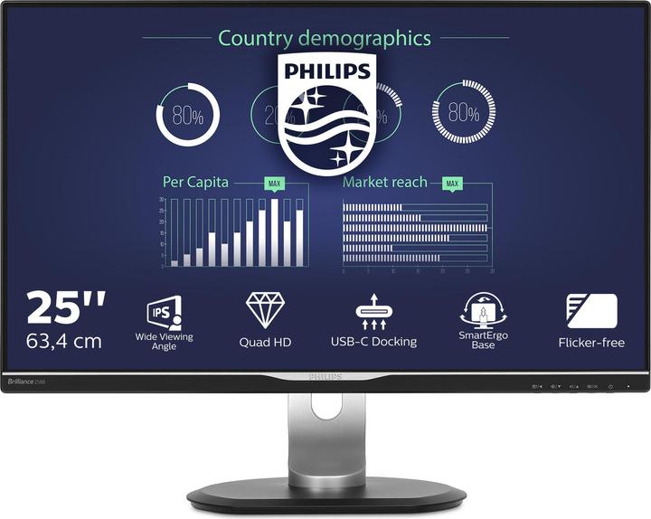 Philips 258b6queb (2560 x 1440 Pixel, 25")
