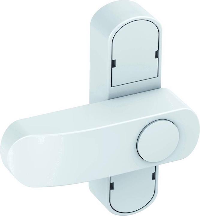 BASI Window and French door security