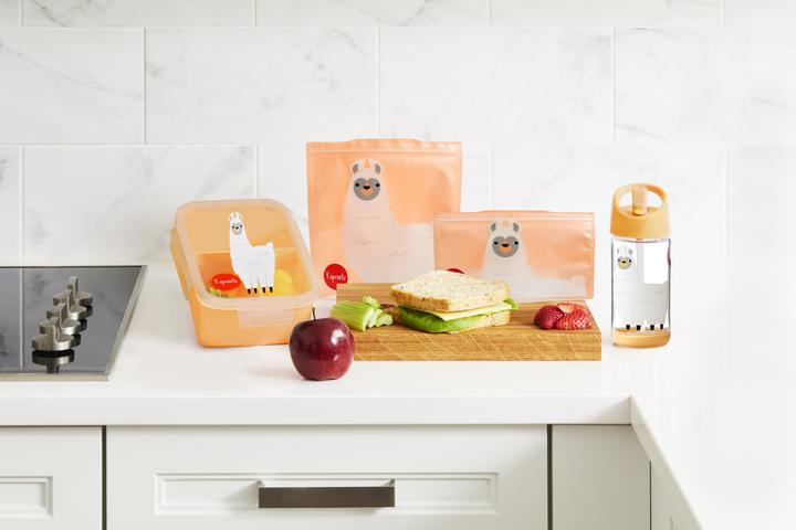 Actual product image 3 Sprouts lunch box