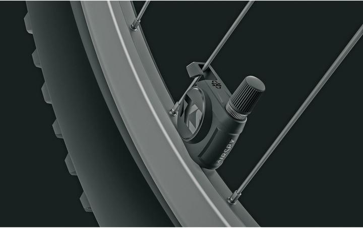 Actual product image SKS Airspy SV