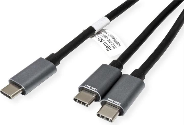 Image du produit Roline Câble de charge USB type C split, C - 2x C, ST/ST, max. 100W (1.85 m, USB 2.0)