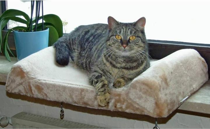 Produktbild Kerbl Fensterliegebrett (Hund, Katze)