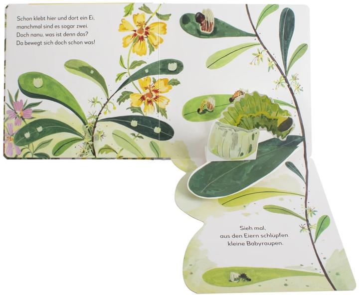 Productafbeelding Mijn pop-up boek vlinder (Duits)