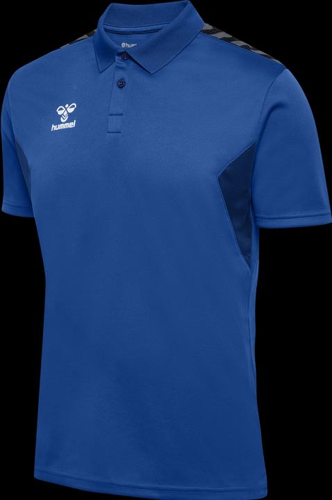 Actual product image hummel Hmlauthentic Functional Polo (XS)