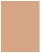 Actual product image Sisley Phyto-Teint Ultra Éclat (Beige)