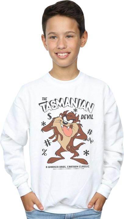 Actual product image Looney Tunes Boys Tasmanian Devil Vintage Sweatshirt (152, 158)