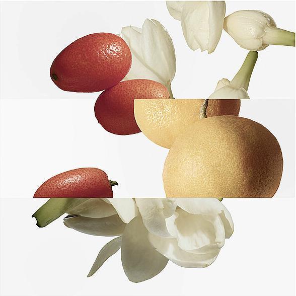 Produktbild Hermès Le Jardin de Monsieur Li (Eau de Toilette, 100 ml)