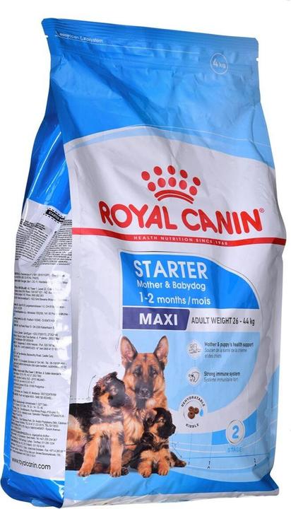 Actual product image Royal Canin SHN Maxi Starter Mother & Babydog - dry dog food - 4kg (Puppy + kitten, 1 pcs., 4000 g)