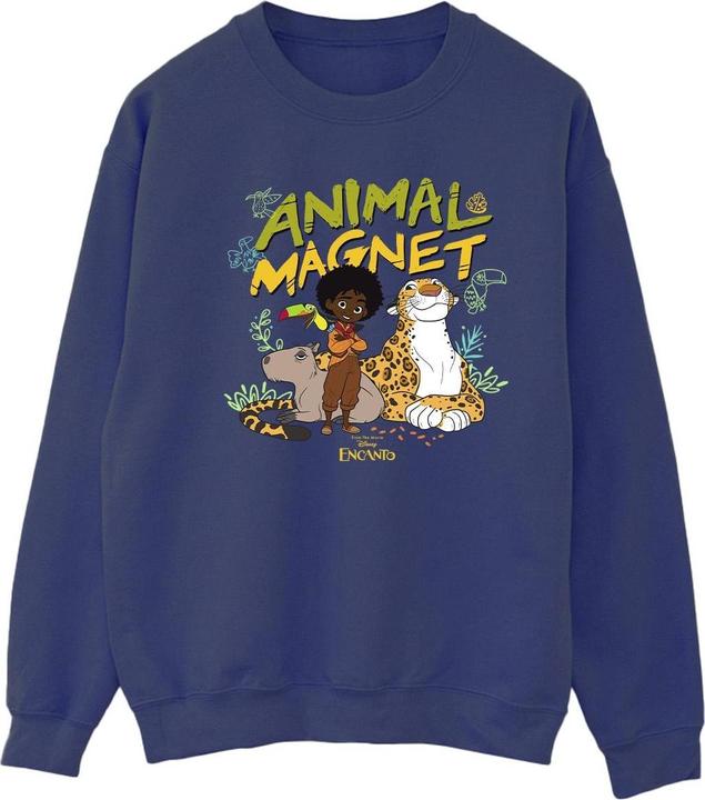 Produktbild Disney Encanto Animal Magnet Sweatshirt (M)