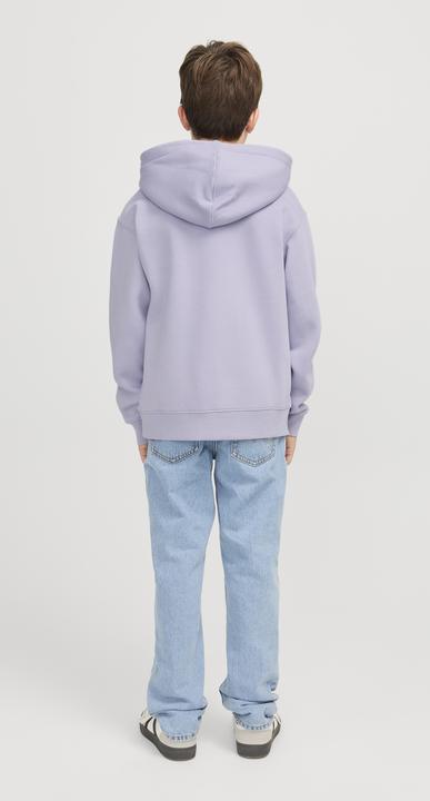 Produktbild Jack & Jones Jjestar Jj Sweat Hood Noos Jnr (176)