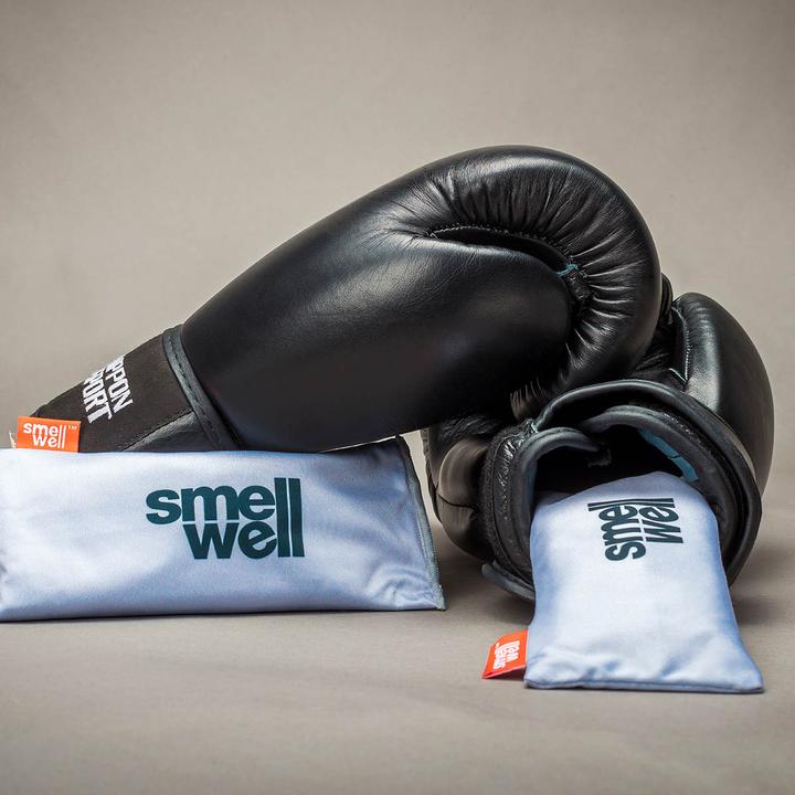 Produktbild Smell Well Freshener Inserts XL (2 x)