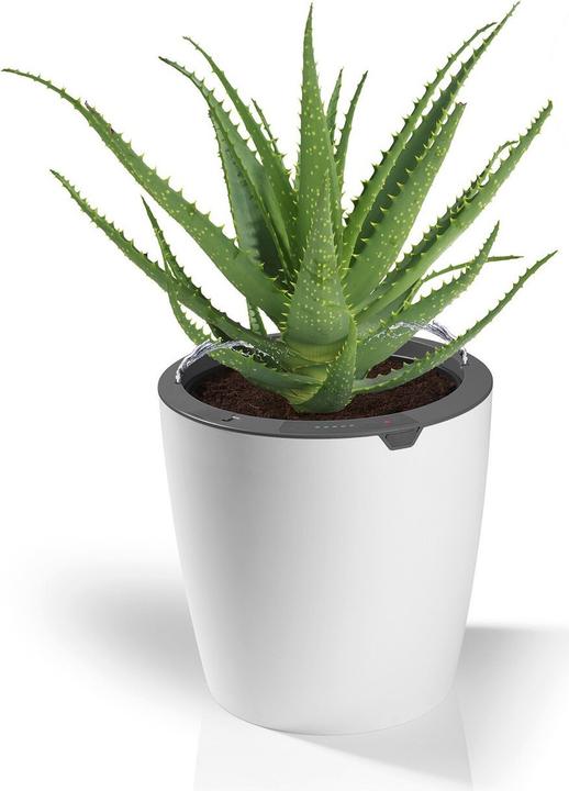 Produktbild Die Höhle der Löwen LazyLeaf
