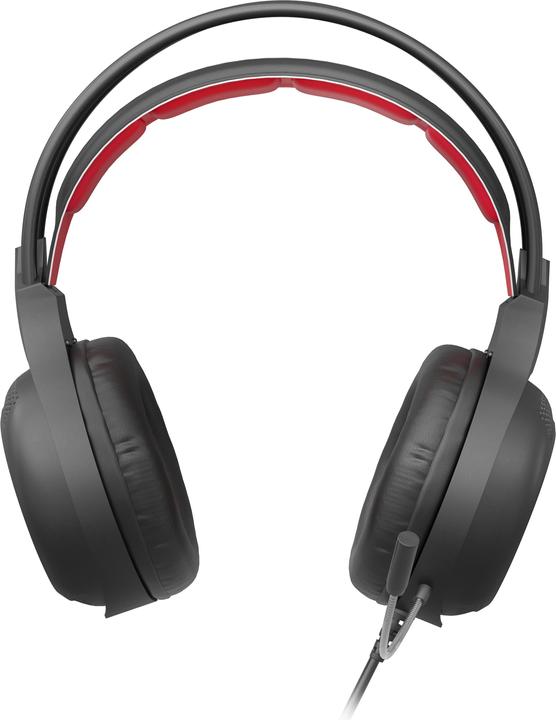 Actual product image Genesis NATEC gaming headset Radon 300 (Cable)