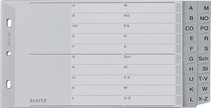 Actual product image Leitz Register PP grey