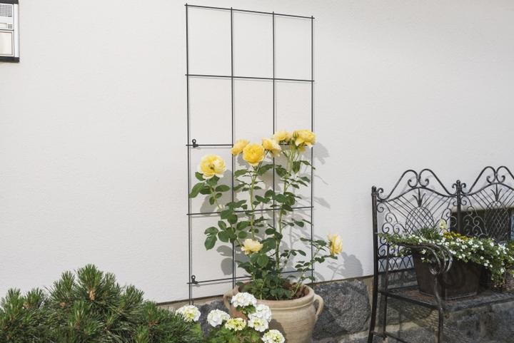 Produktbild Windhager Gitterspalier (60 cm, 60 cm)