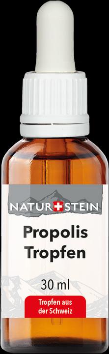 Image du produit Naturstein Propolis Tinkt (1 pièce(s), 80 g)