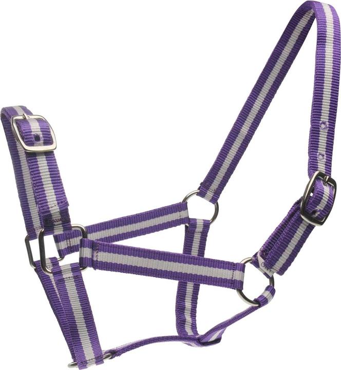 Image du produit Roma Licol et longe pour chevaux