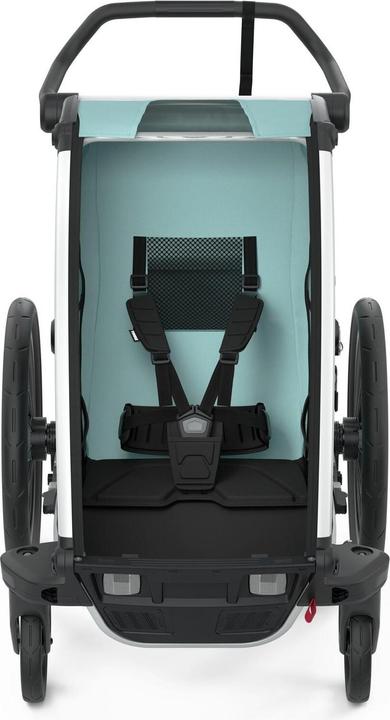 Actual product image Thule Chariot Cross 1
