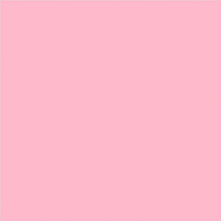 Image du produit Creativ Company Papier de soie rose clair 10 feuilles 14 gr, 50x70cm (14 g/m², 10 x)