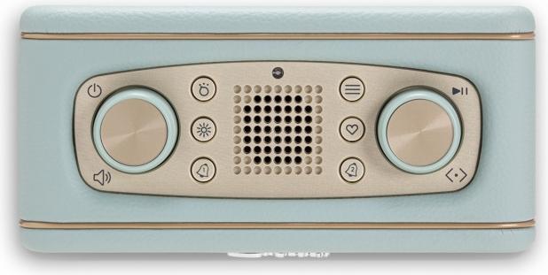 Image du produit Roberts BluTune 300LE