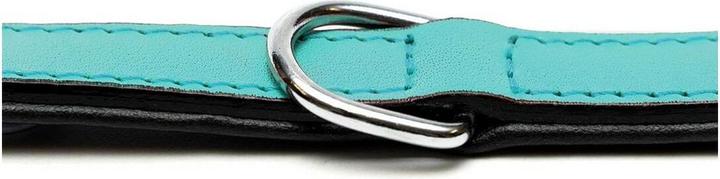 Immagine prodotto Gloria Collare per cani imbottito Turchese 50 cm (50 x 2,5 cm) (Cane, Generale)