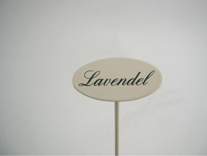 Gewürzstecker Lavendel 20 cm (20 cm)