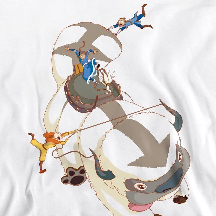 Produktbild Avatar: The Last Airbender Hang On Sweatshirt (XXL)