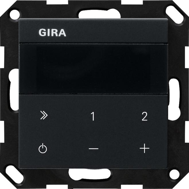 Gira 2320005 Flush-mounted radio IP System 55 Schwa (Web radio)