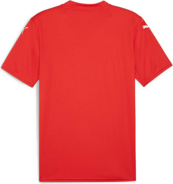 Actual product image Puma teamGLORY Jersey (XL)
