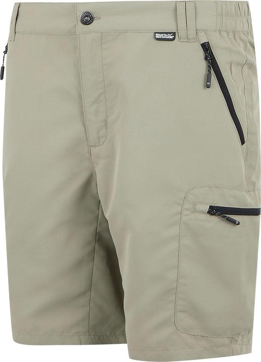 Actual product image Regatta Mens Leesville III Shorts (52 D)