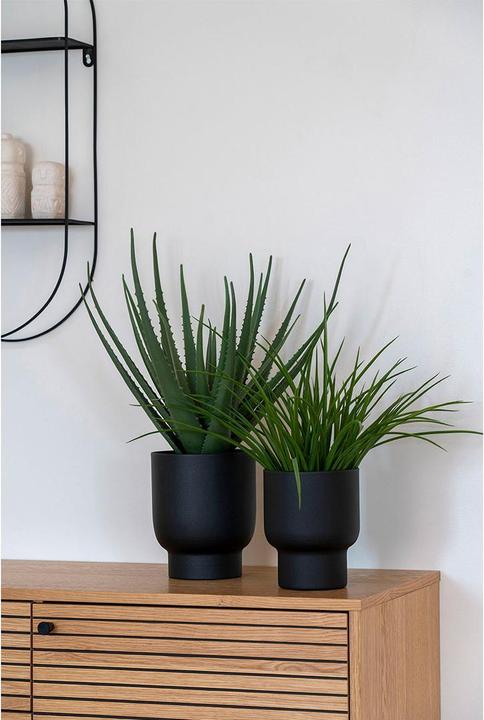 Produktbild House Nordic Aloe (51 cm)