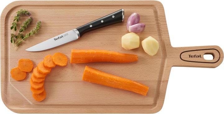 Image du produit Tefal Bloc à couteaux Ingenio