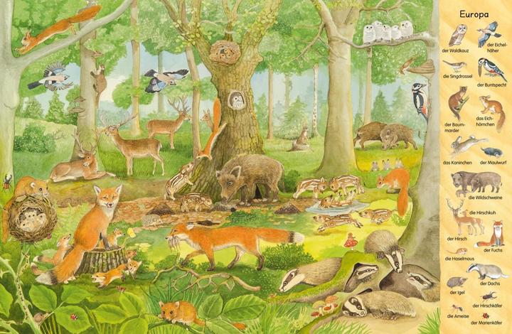 Actual product image My first hidden object book: animals from all over the world (German)