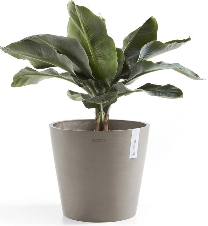 Produktbild Ecopots Amsterdam (30 cm)