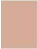 Produktbild Gabriella Salvete Soulmatte Hyaluronic Foundation (03C Beige Cold)