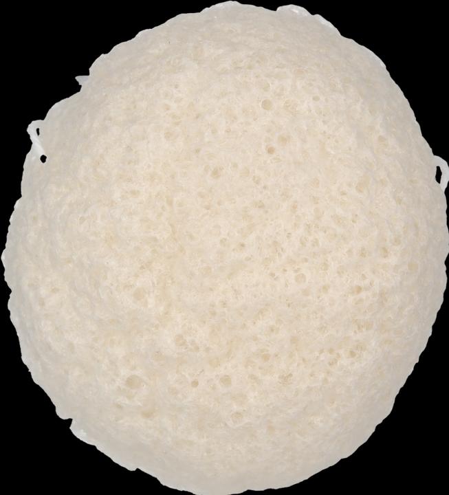 Actual product image Bachca Paris Face Konjac Sponge