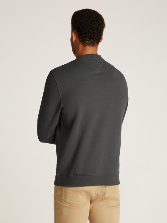 Actual product image Tommy Jeans Tjm Reg Linear Crew Ext (M)
