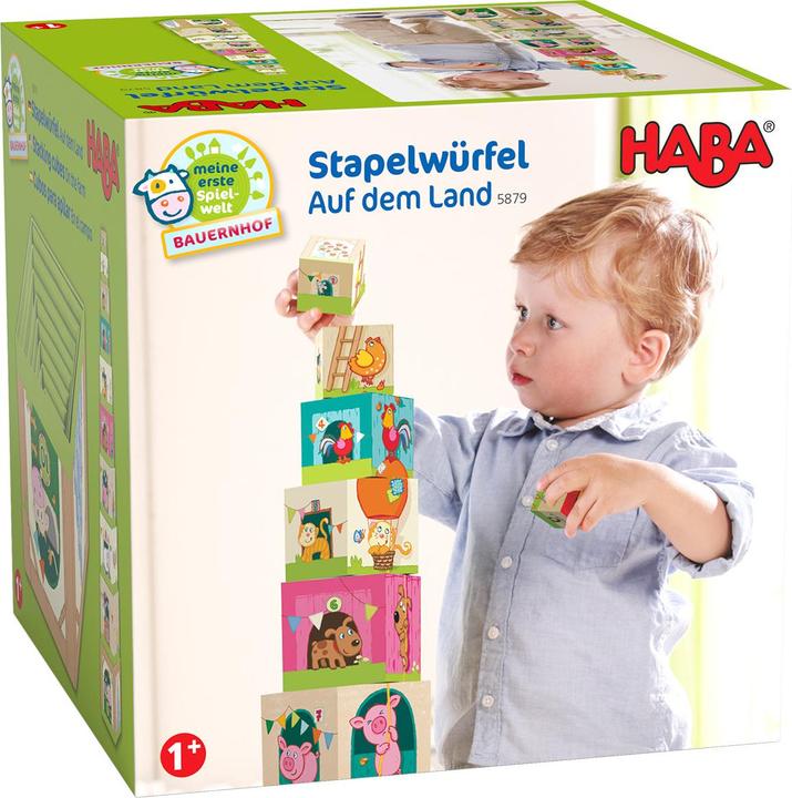 Actual product image Haba Stacking cubes In the country
